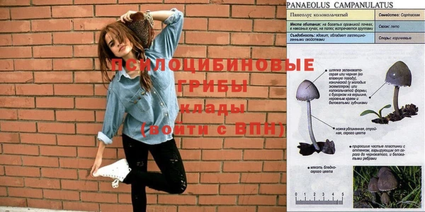 спиды Балахна